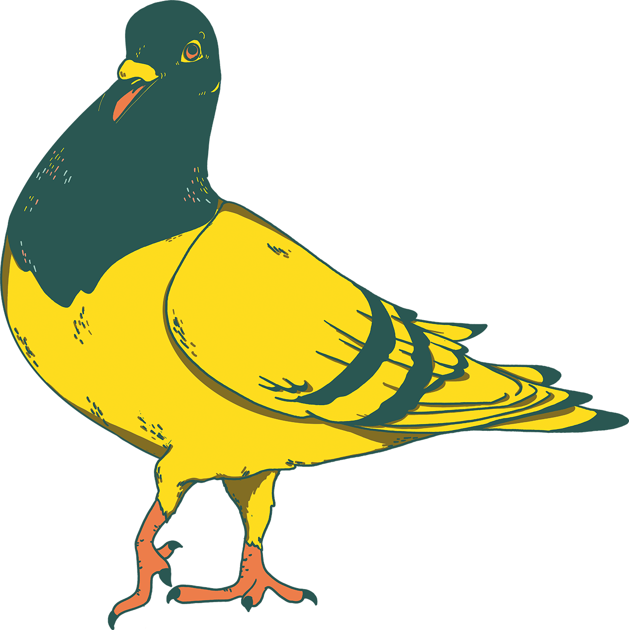 animal