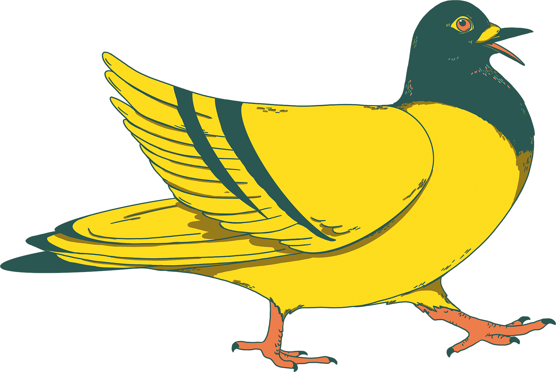 animal
